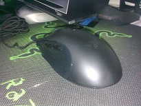 20101129088.jpg