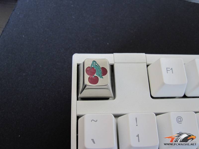èͷƣè~~~~~~~~~~~~~