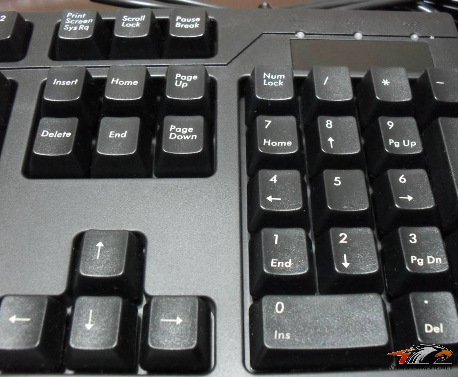 ����PLU3000�޳���ᣬ��ͼƬ