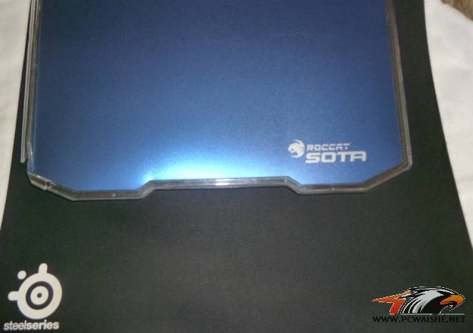 ��2���ӣ�qck heavy+Roccat���� Sotaս���������� ��ɫ