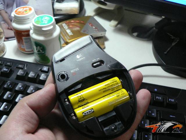 P1090331.JPG
