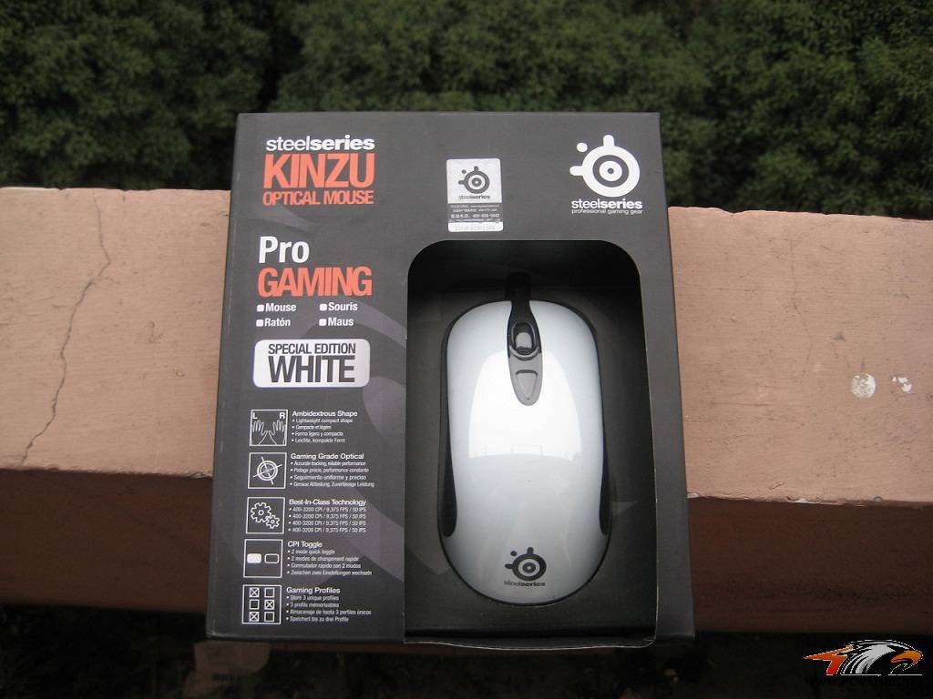 �����롿9��+��kinzu��ʵ�����Ķ���������