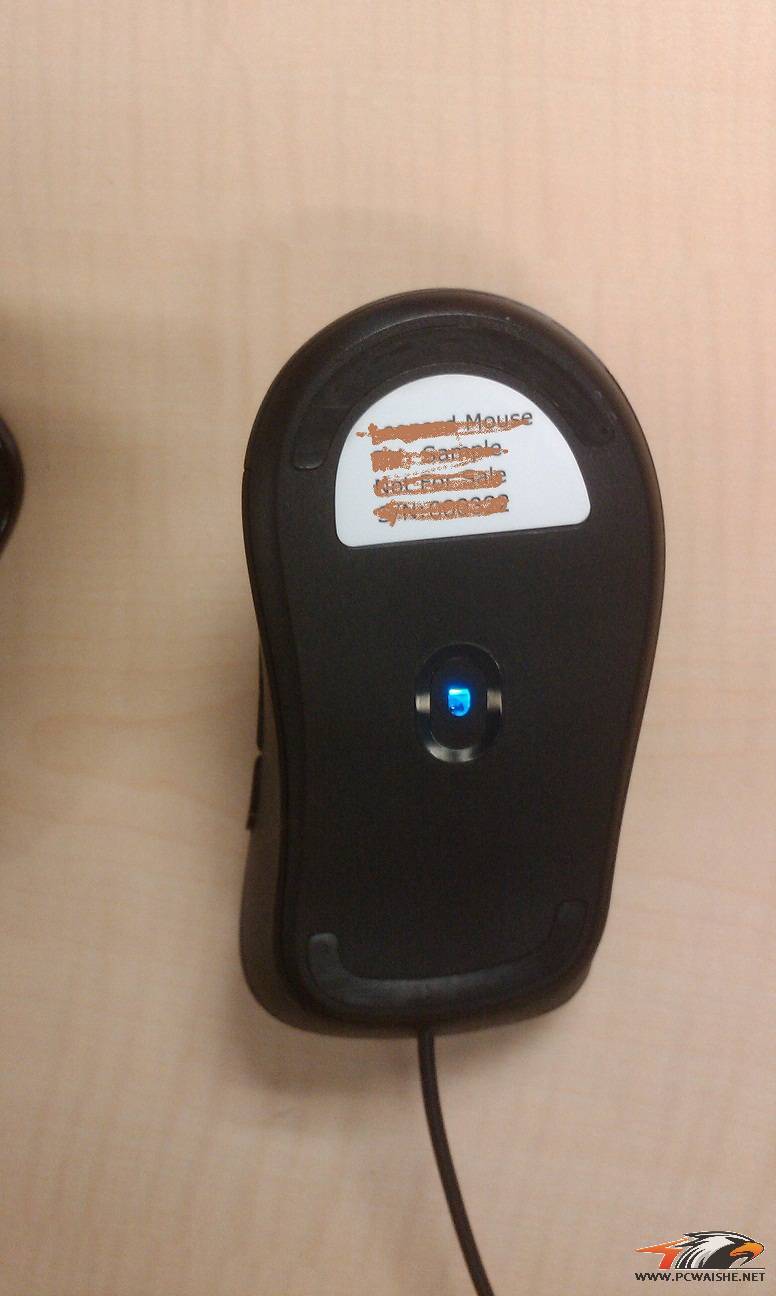 Microsoft Comfort Mouse 6000ʵ����