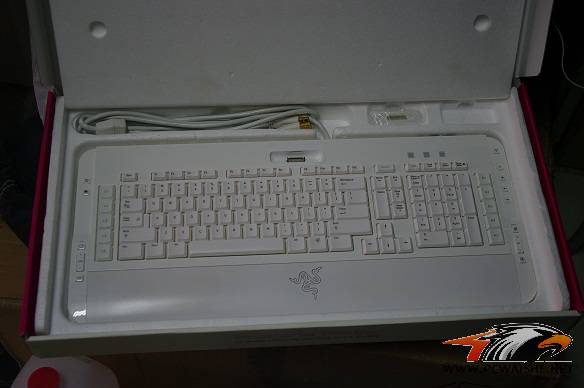 ���ѳ�����������̣�Ϊ��pg ƴ�ˣ�~~~~