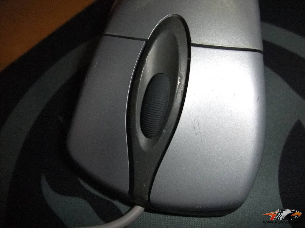 DSCF2311.JPG