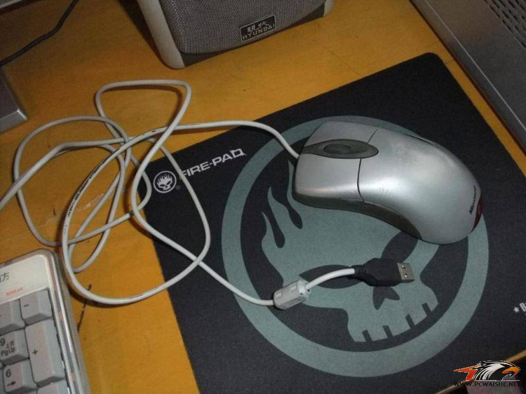 DSCF2309.JPG