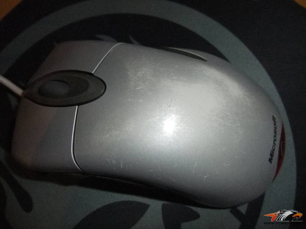 DSCF2310.JPG