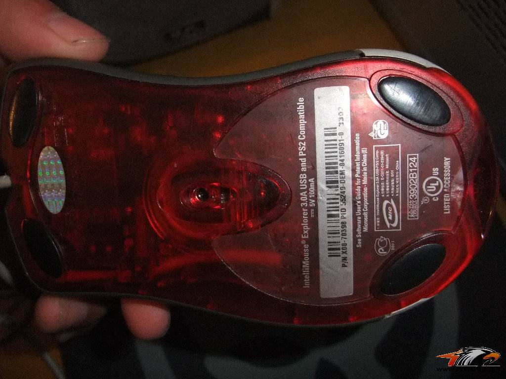 DSCF2313.JPG