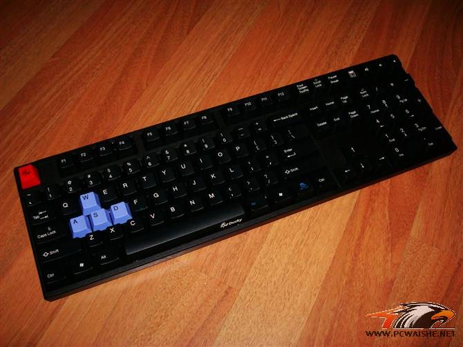 �����ܡ���ȫ��DUCKY1008����죬20P����ɱè��Ϊ��ICEMAT-2����ҫ�����ѳ���