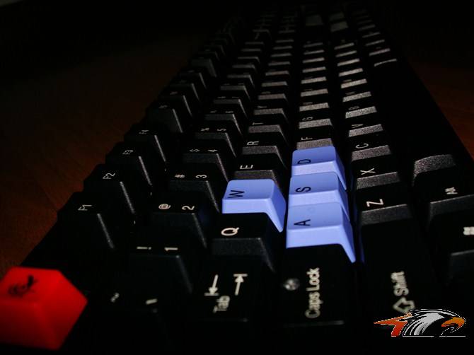 �����ܡ���ȫ��DUCKY1008����죬20P����ɱè��Ϊ��ICEMAT-2����ҫ�����ѳ���