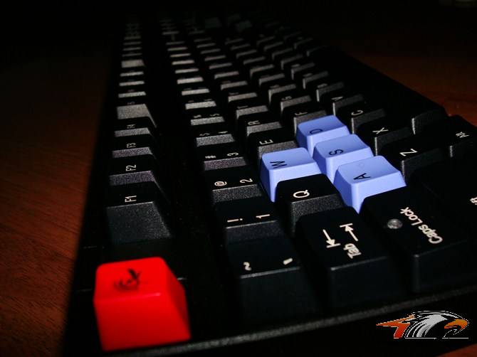 �����ܡ���ȫ��DUCKY1008����죬20P����ɱè��Ϊ��ICEMAT-2����ҫ�����ѳ���