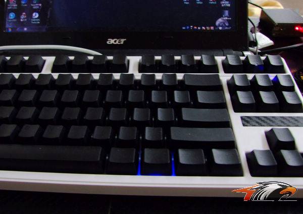 DSCF3947.jpg