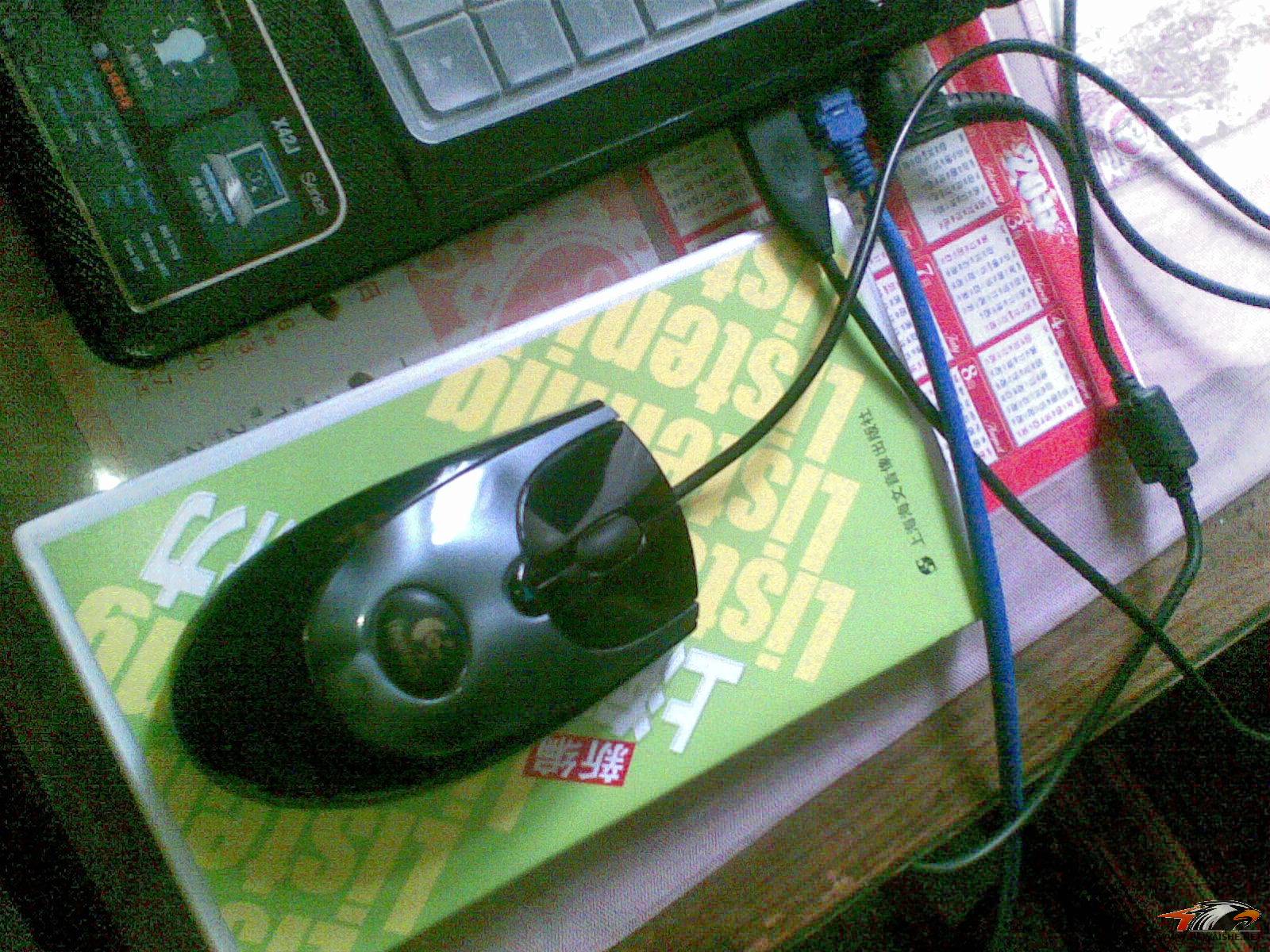 20110226(005).jpg