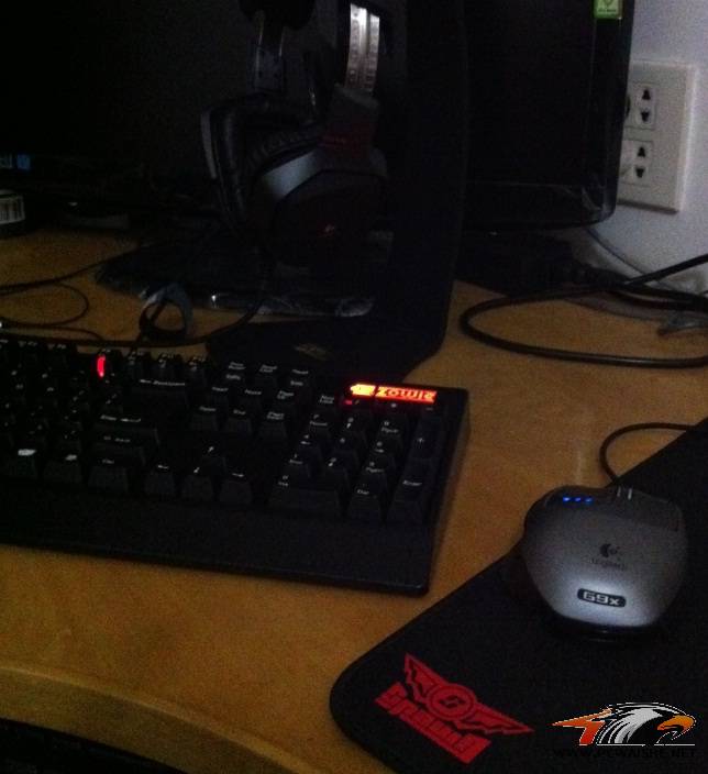 ȥʵ�����filco�����������zowie Celeritas������