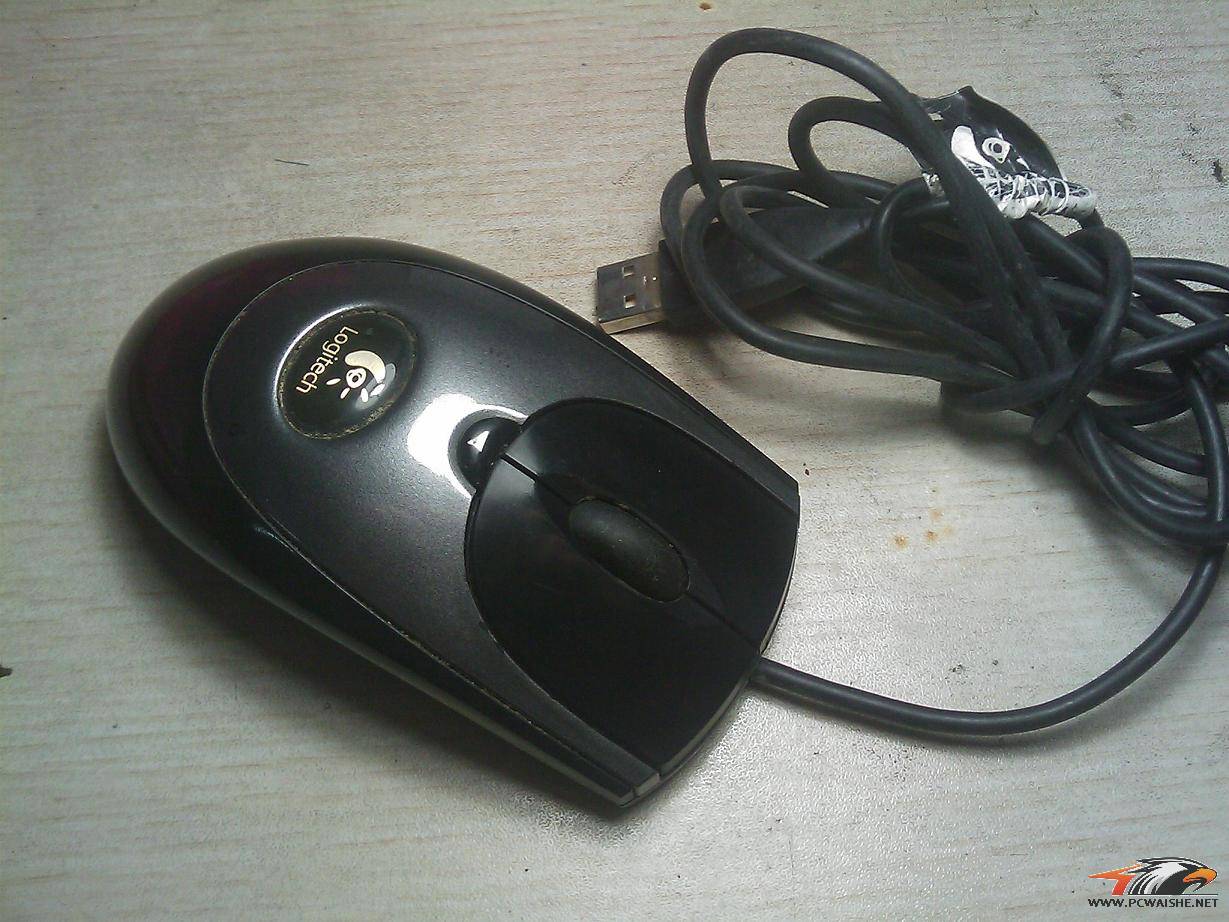 IMAG0062.jpg