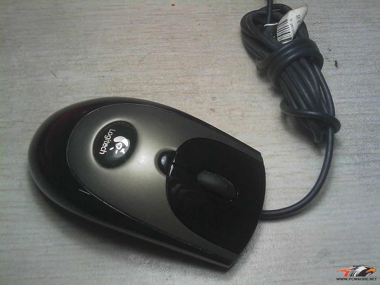IMAG0060.jpg