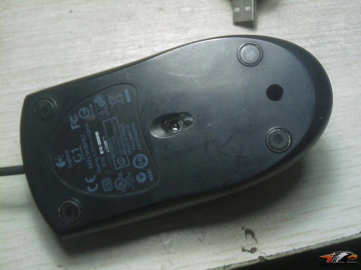 IMAG0064.jpg