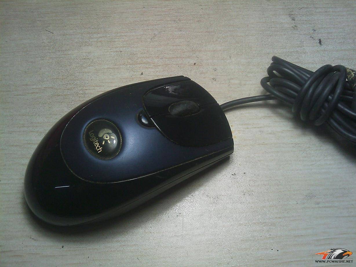 IMAG0063.jpg