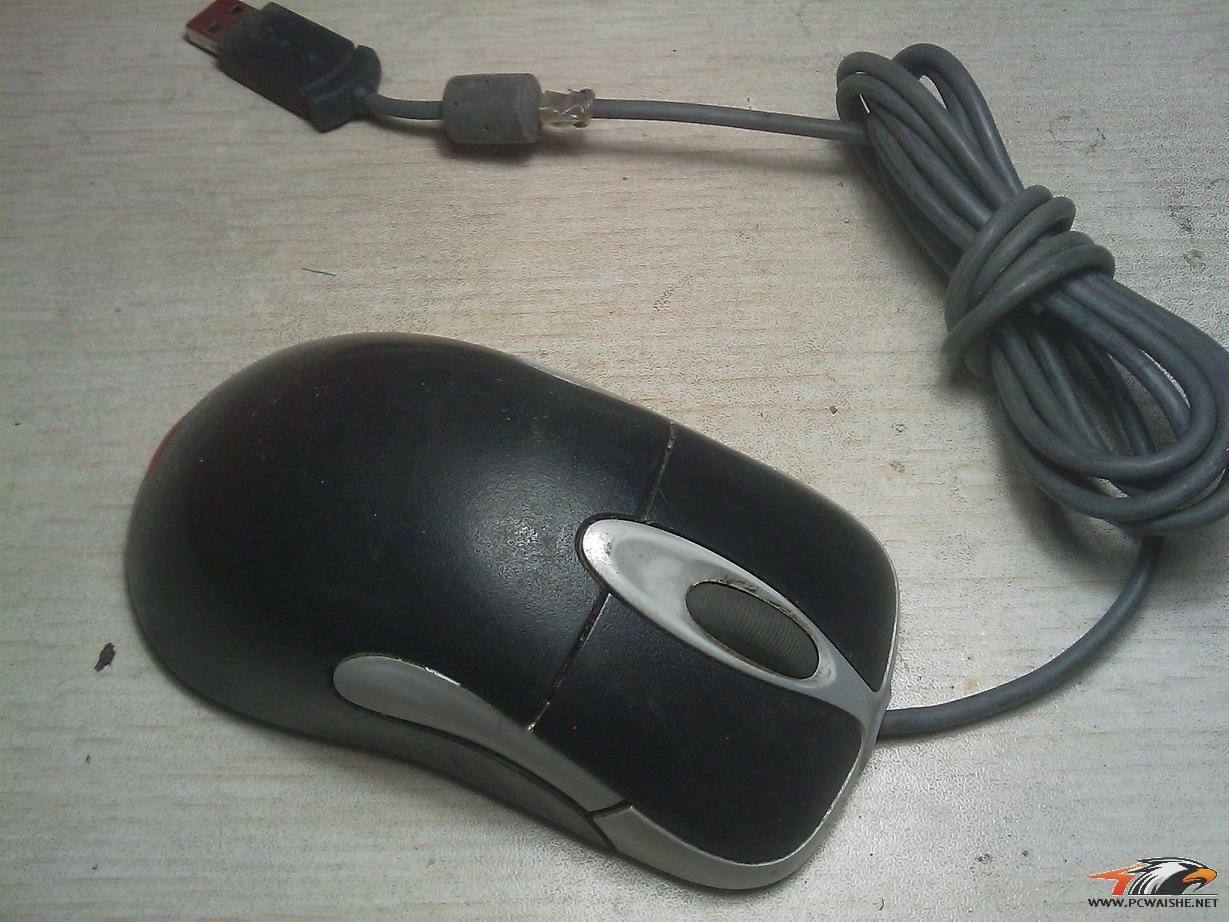 IMAG0061.jpg