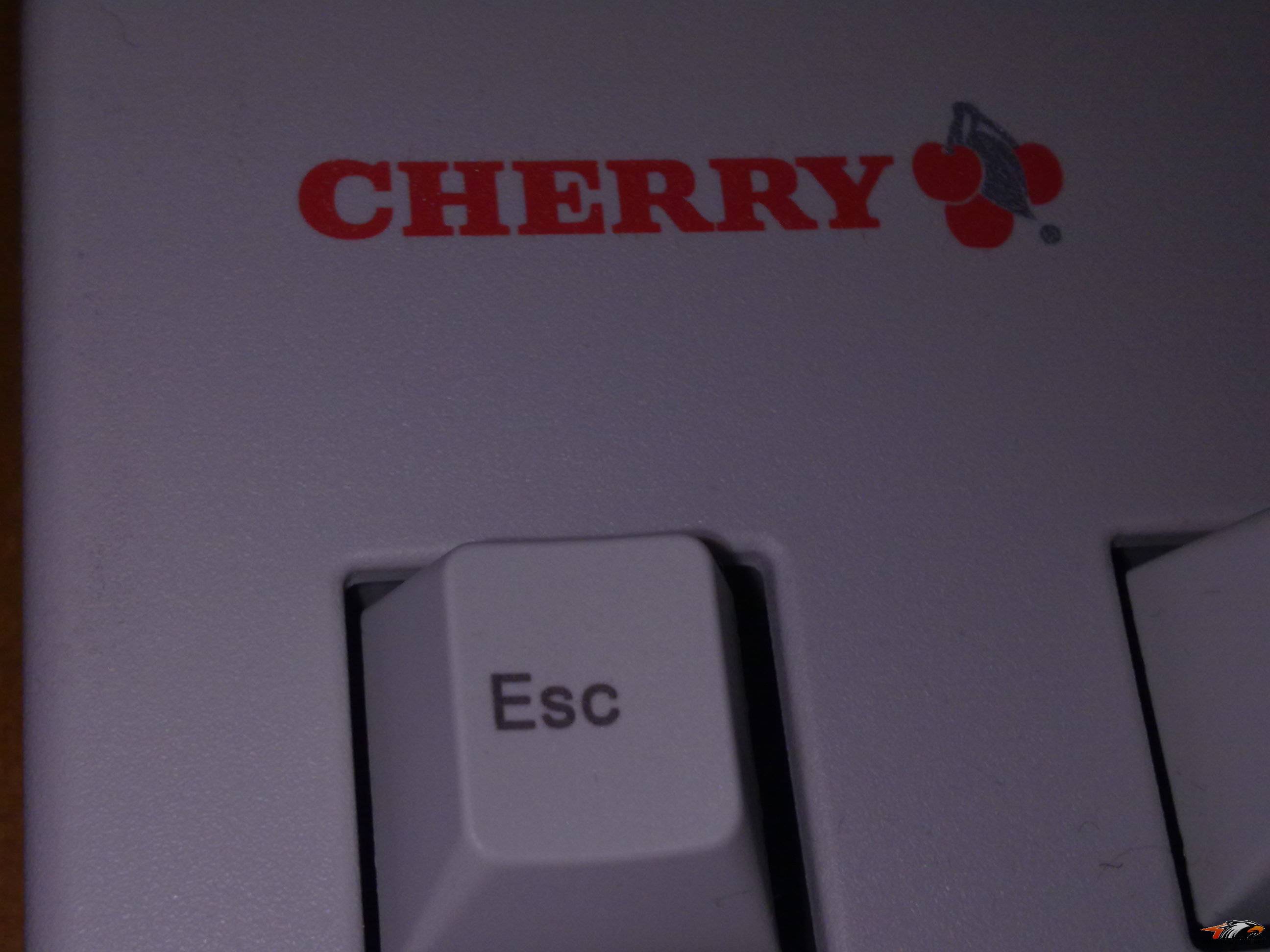 20110227224.jpg