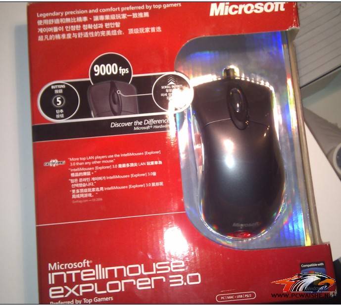 IE.jpg
