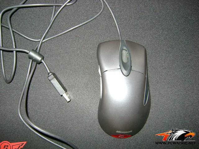 9��FK����KINZU��