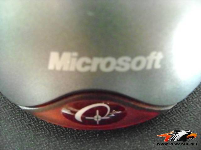 9��FK����KINZU��