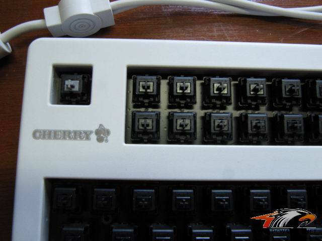 Ϊ��ducky��ͬ����ducky 108 ��ͬ�� �� ŷ�� cherry 11900 ~~~~~~����ӳ�~~~~~