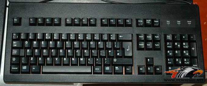 G80-3464��������ô��ѽ��