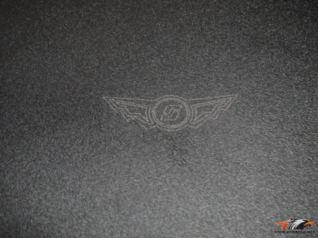 DSC01411.jpg
