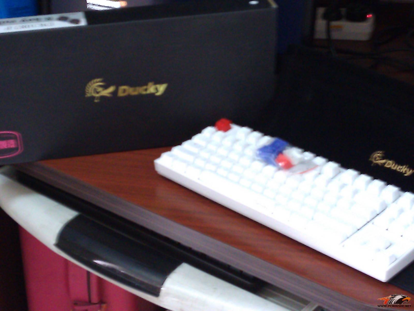 ����DUCKY1087���޿̲���ɻ�MINI84�����