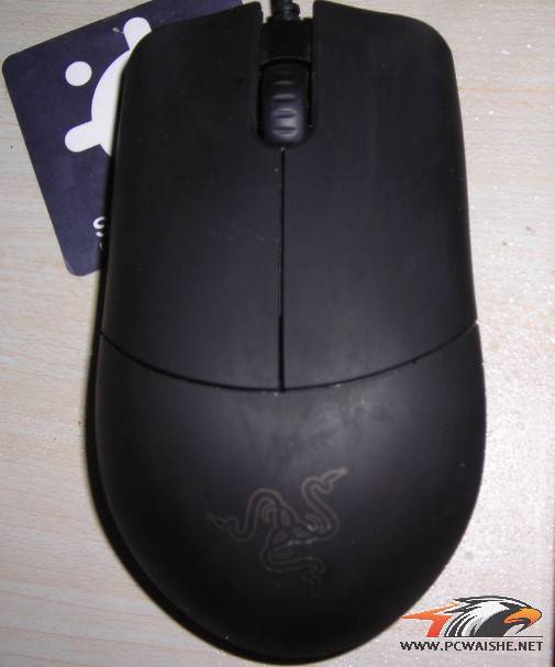SB��1.jpg