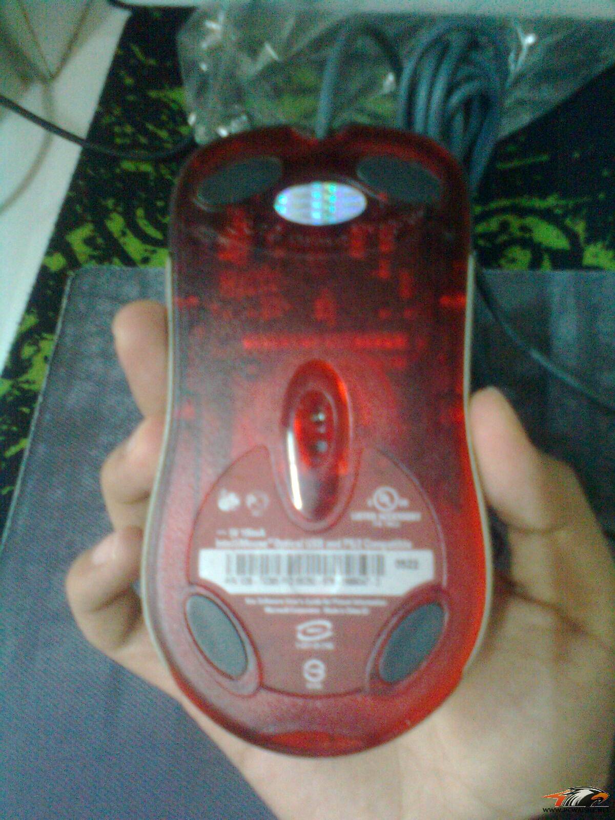 ������ˣ�����io x08 mod�������С�~~