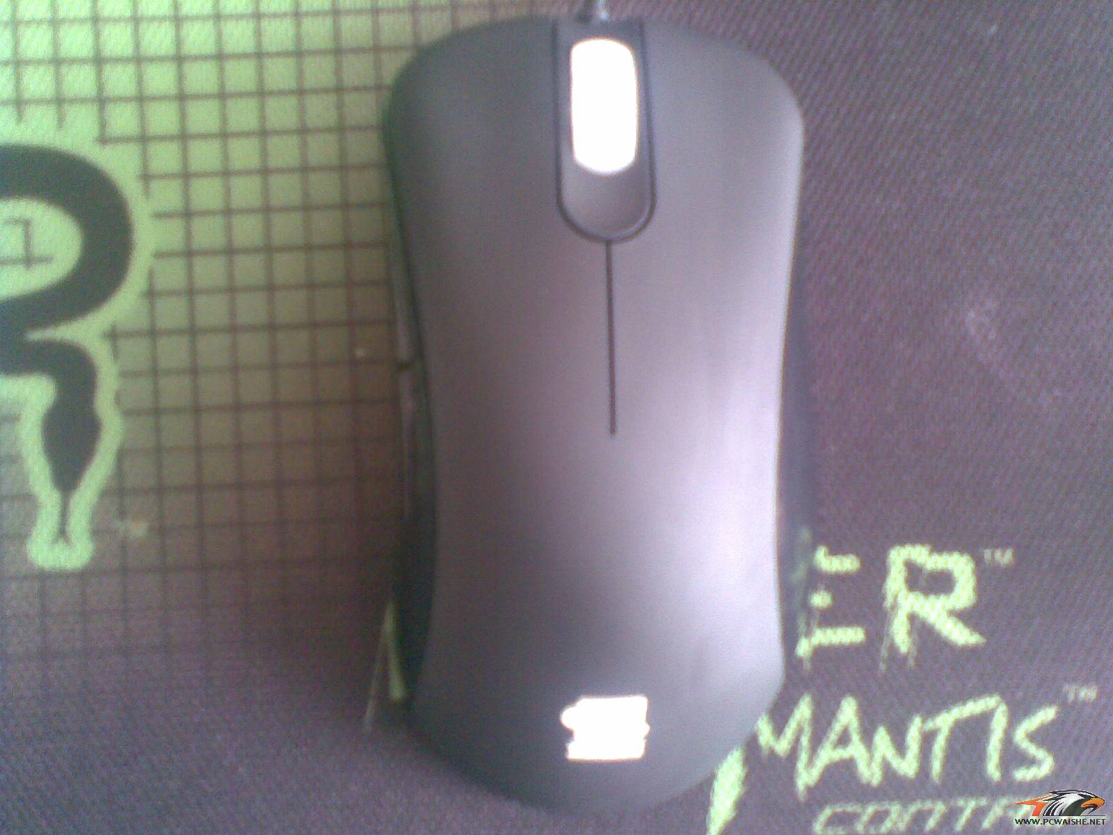 20110304.jpg