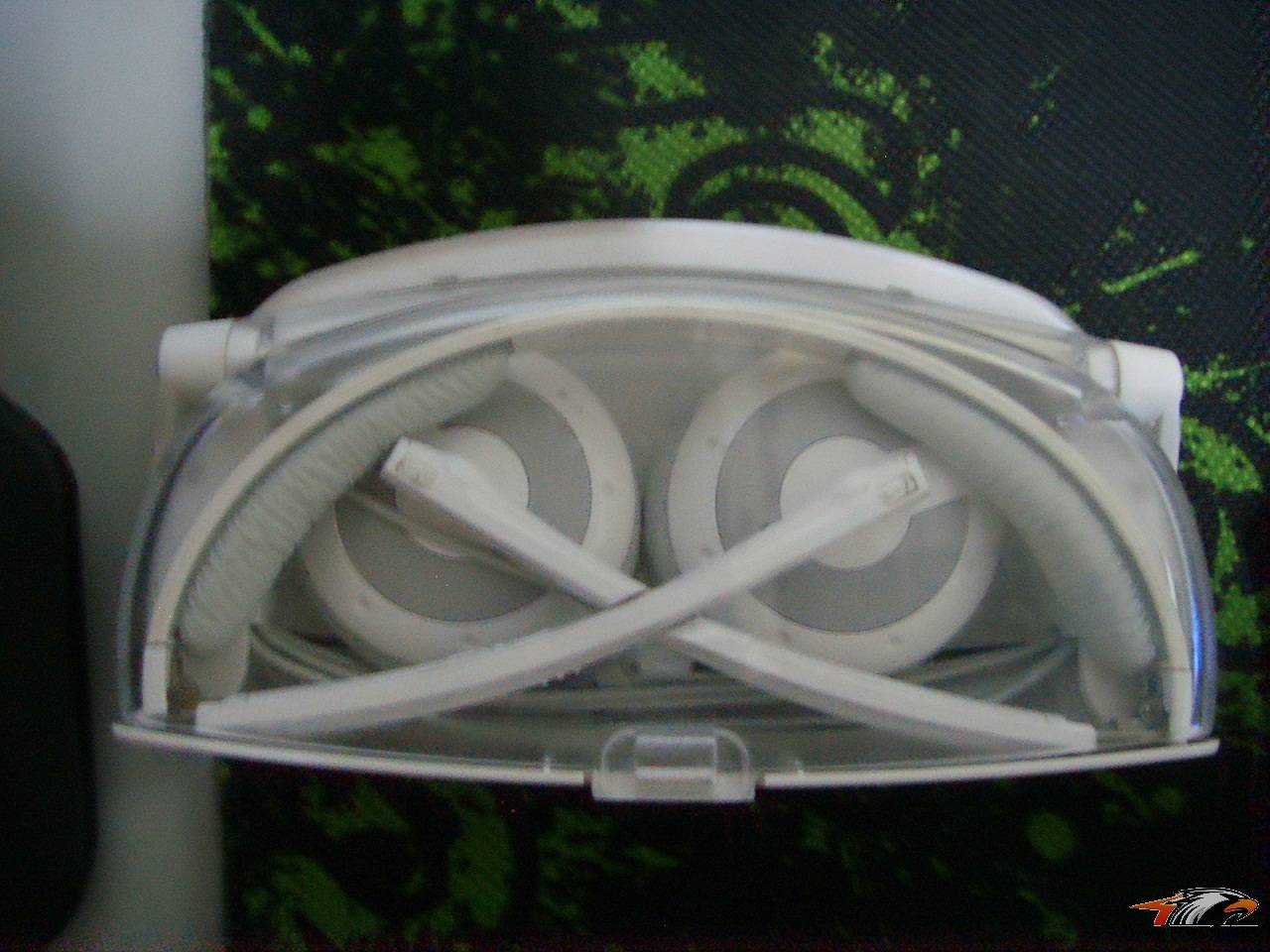 SSM15324.JPG