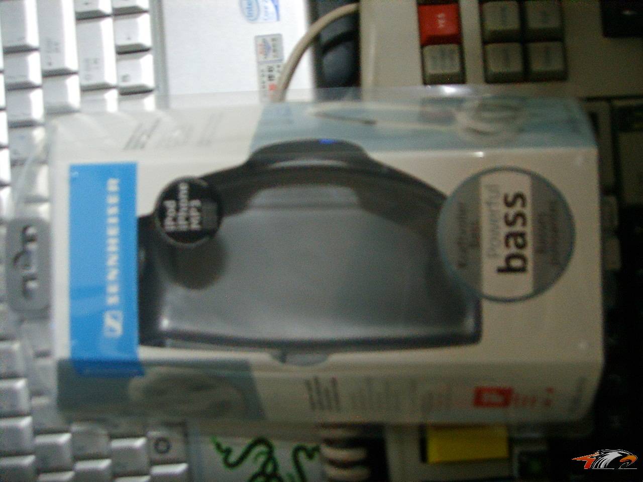 SSM15323.JPG