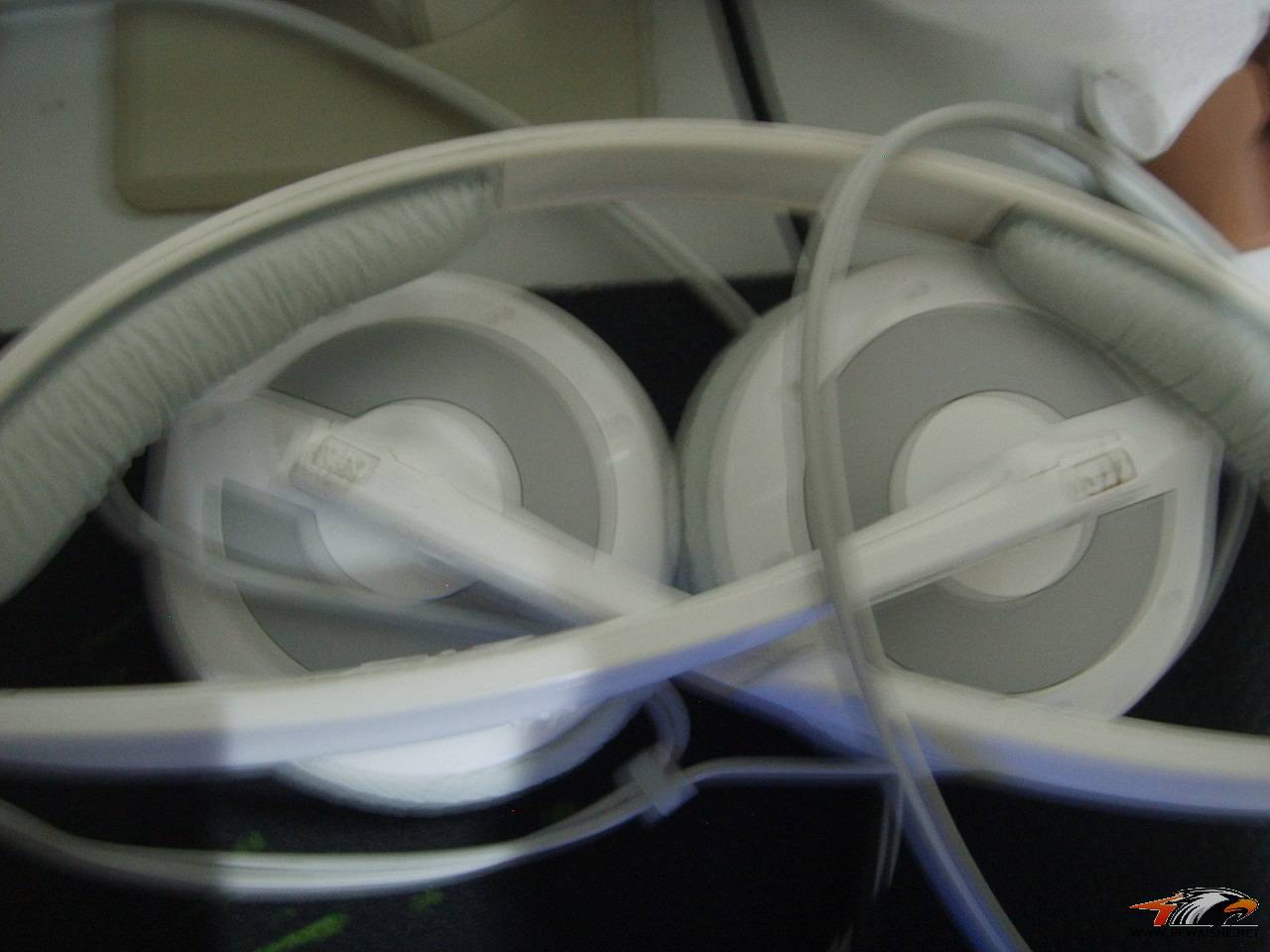 SSM15331.JPG