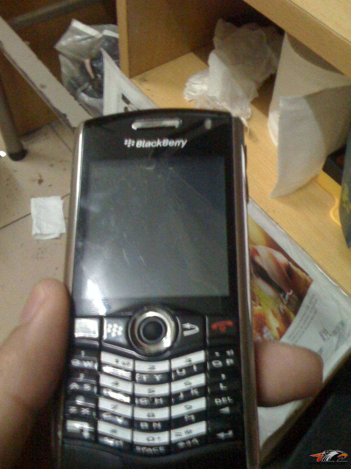 ���¼۸񣨰ﶥȫ�ҽ��������ƣ���һ��IE FK�ͺ�ݮ8100