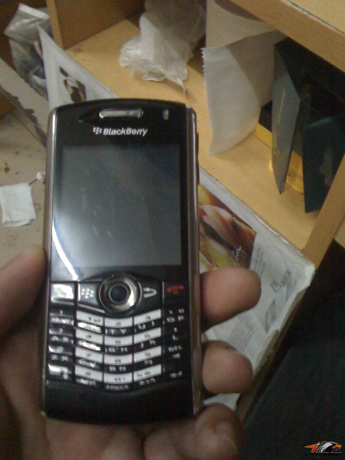 ���¼۸񣨰ﶥȫ�ҽ��������ƣ���һ��IE FK�ͺ�ݮ8100