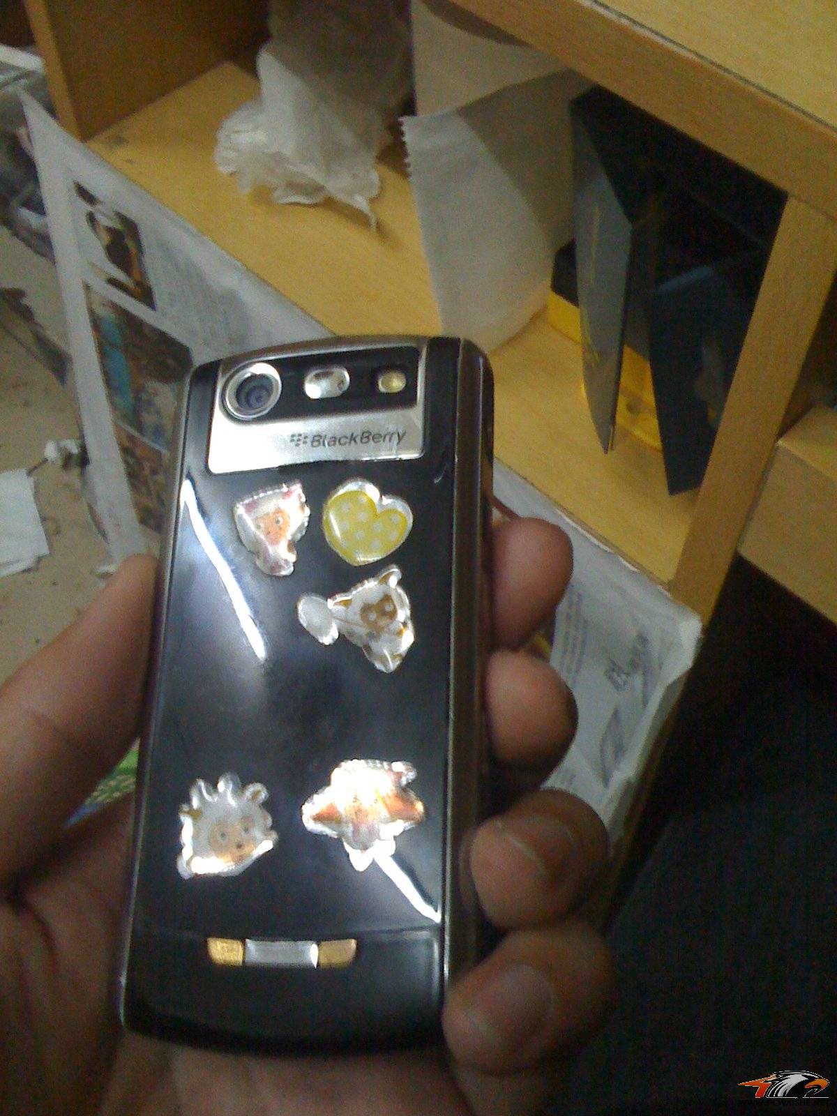 ���¼۸񣨰ﶥȫ�ҽ��������ƣ���һ��IE FK�ͺ�ݮ8100