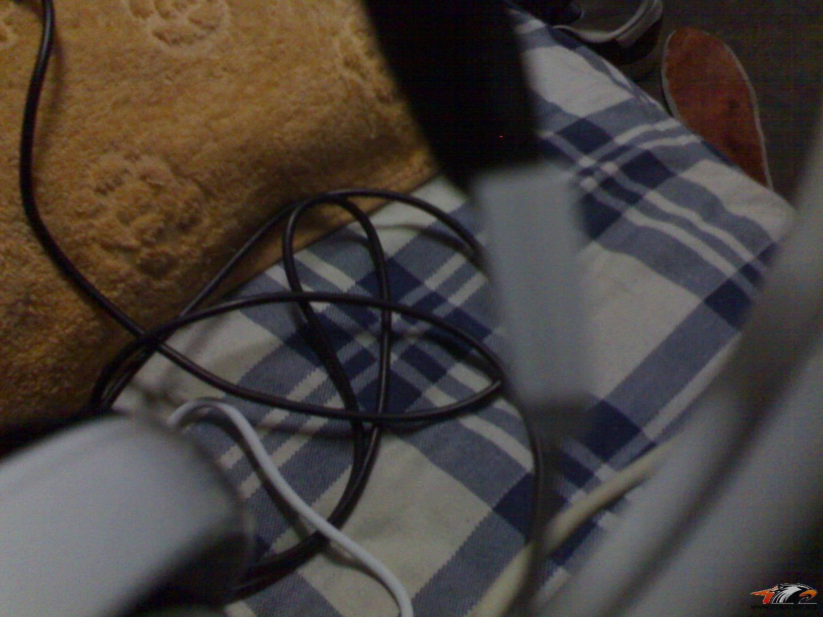 20110306040.jpg