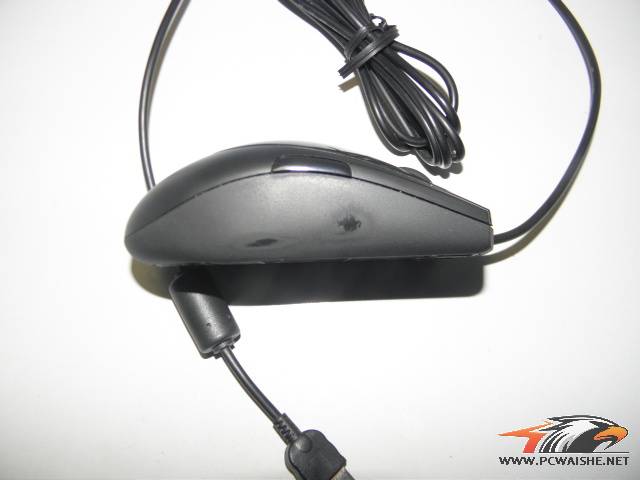 �������� �Ϻ�ͬ�ǳ��޼�G3 ������ ��С�� ������