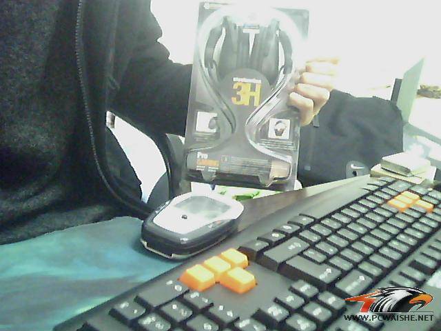 ȫ��steelseries ���� ���°�logo������