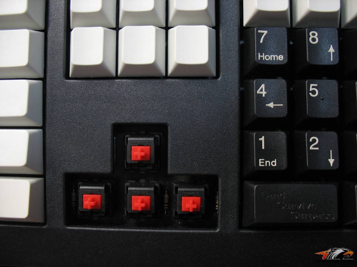 ��������Filco 104�׺ڡ�KBC 104PBT���п̼�ñ��Ducky�������桢Cherry3494�����