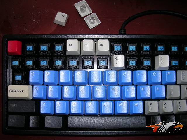 ñװMXʮᡣ