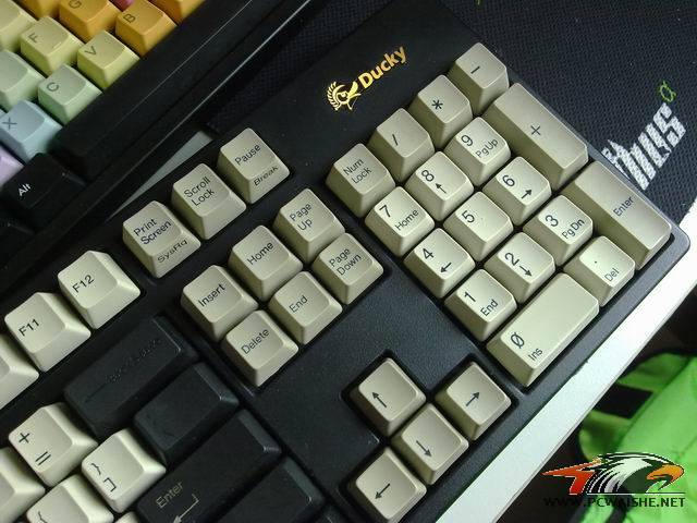 ������С 20110309071.jpg