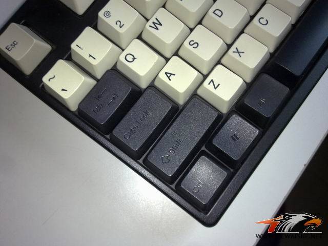 ������С 20110309069.jpg