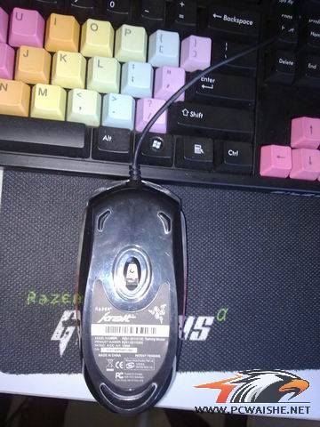 ������С 20110308051.jpg