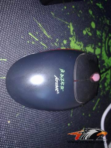 ������С 20110308053.jpg
