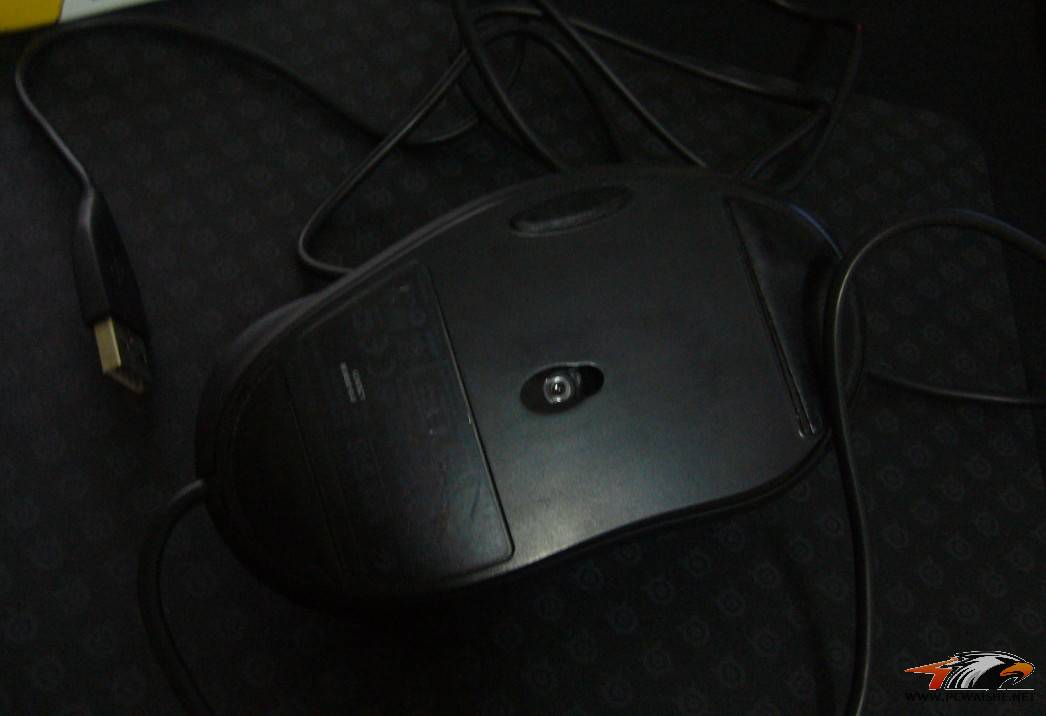 5187.jpg